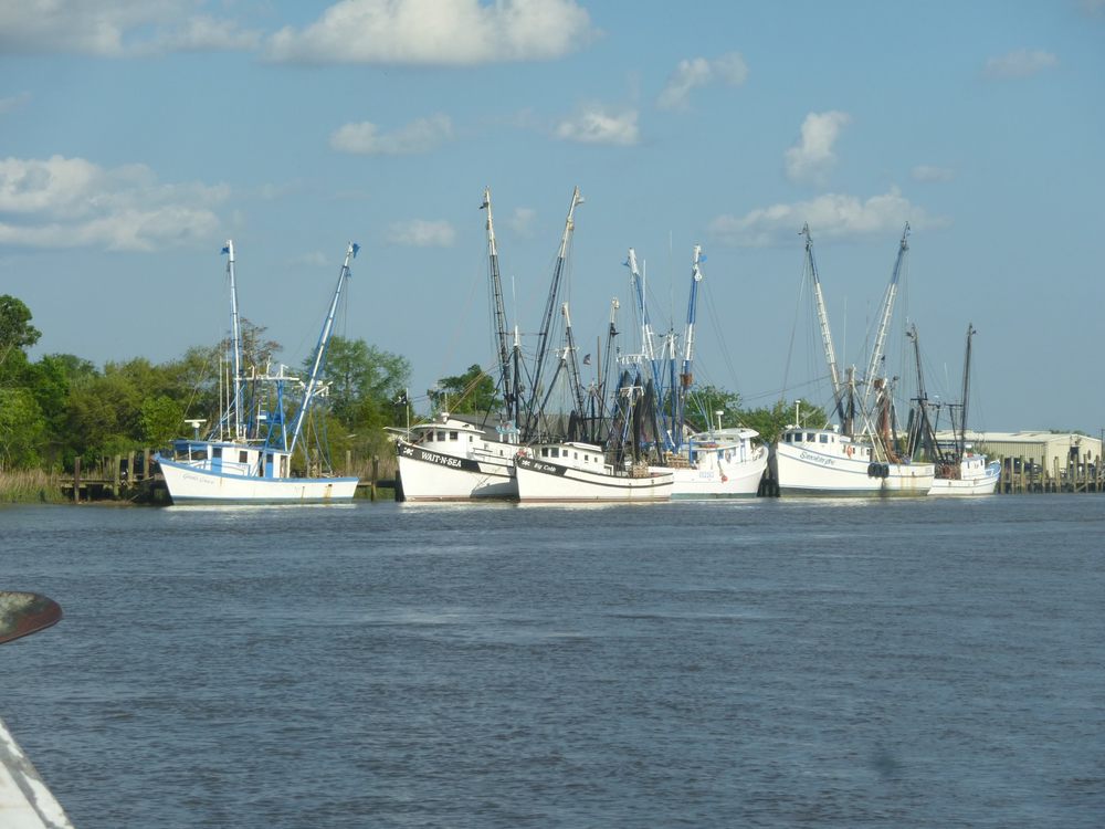 Shrimp trawlers docked in the St. Simons waterways
