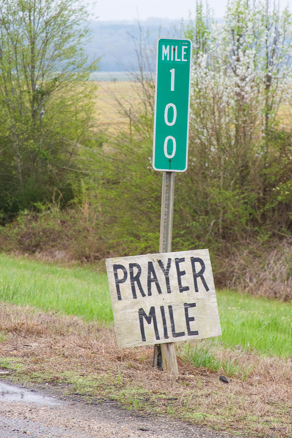 A sign left on U.S. Highway 80 in Lowndes County, Alabama. Photo by Lauren S. Hughes.