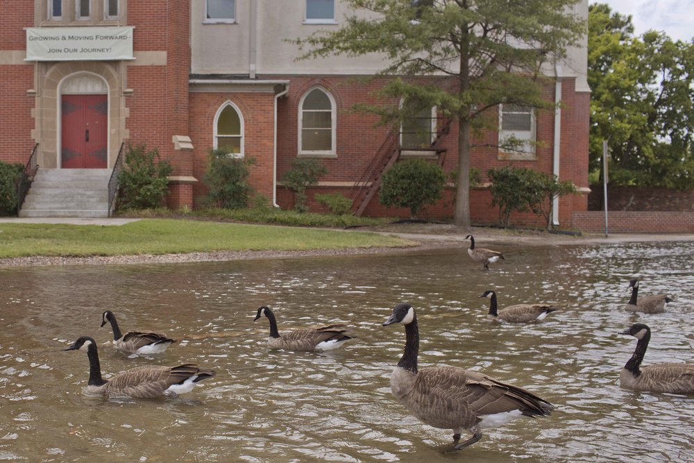 A street in Norfolk after moderate rain. Photo by Rich-Joseph Facun.