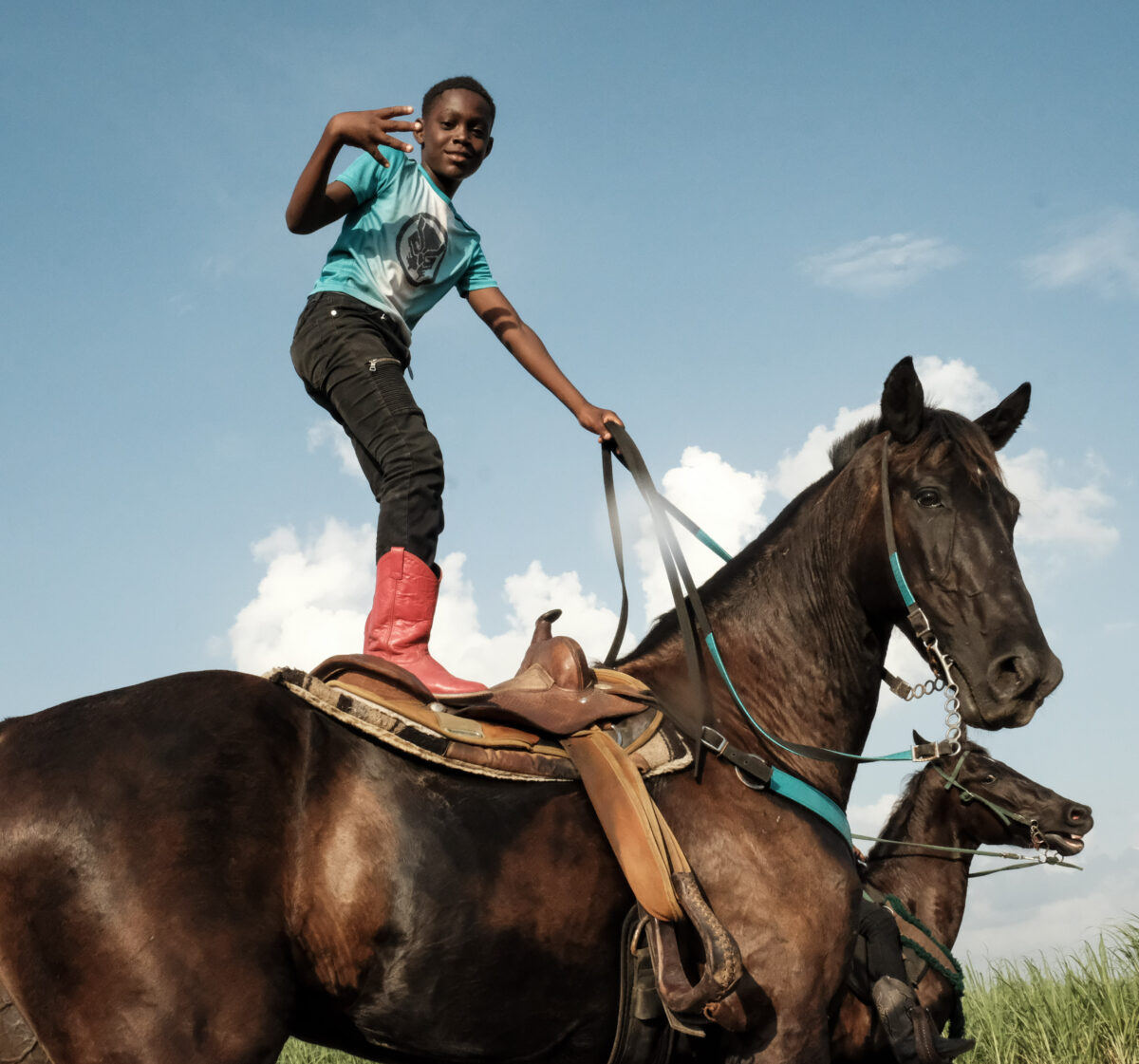 Black horse culture and living in pleasure: in conversation with Wild Talk's avry jxn
