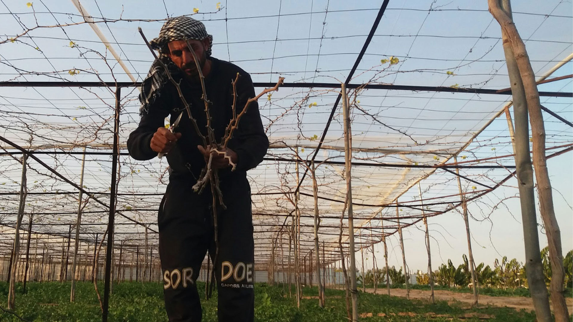 Inside the struggle of farmers and industrial workers in Gaza as Palestinians face exposure to environmental racism under Israeli blockade.