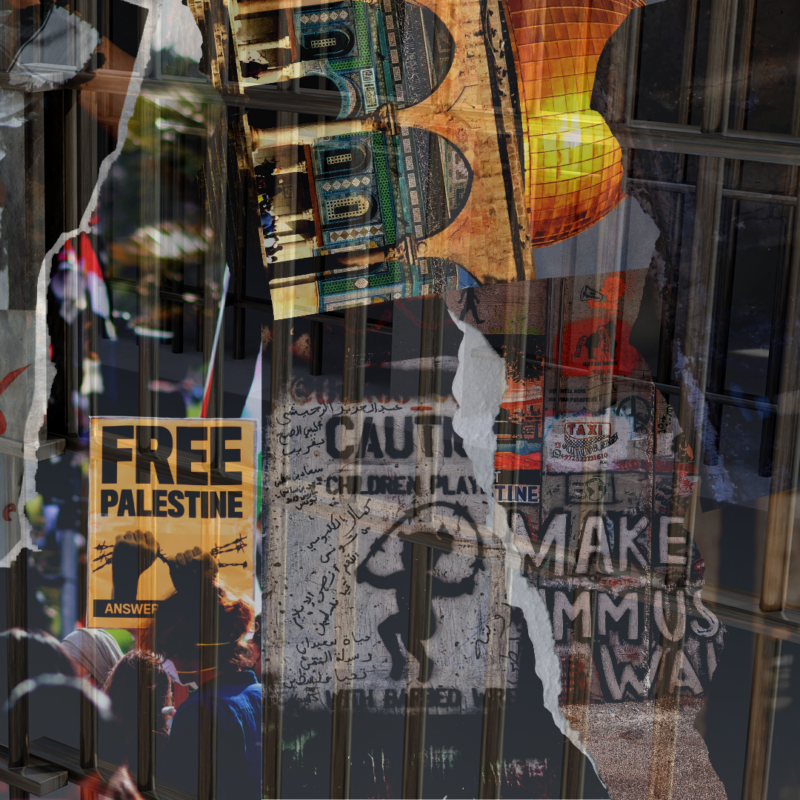 Palestine on lock: Israeli occupation