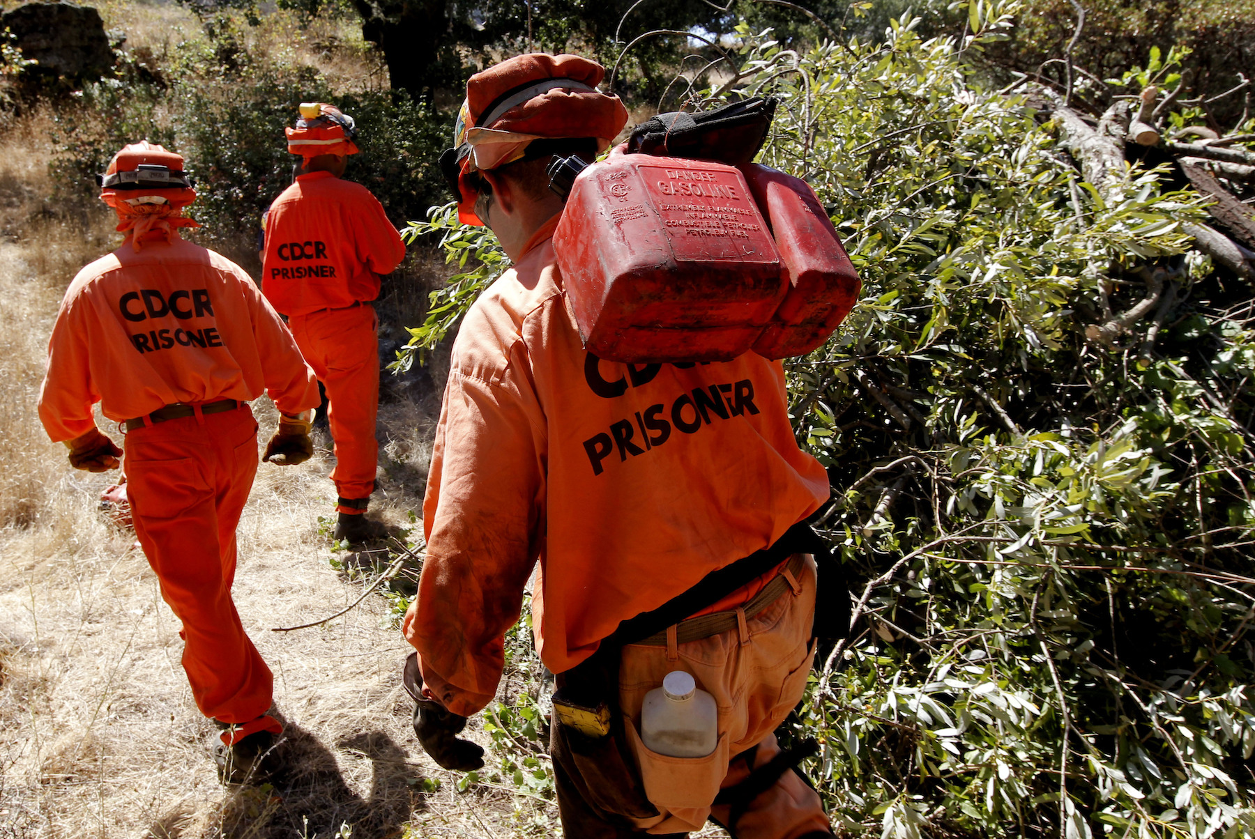 Delta Crew 5, a Cal Fire inmate hand crew from Suisun City, California, working to fight fires in Solano County in 2012. When the state later shifted low level offenders to county jails instead of state prisons, the move raised public concern over the cost to replace the thousands of prison laborers with higher-paid workers. (Michael Macor/San Francisco Chronicle via AP)
Rehabilitation stops being a priority for officials when it conflicts with prison labor—abruptly shutting down programs, citing labor costs.