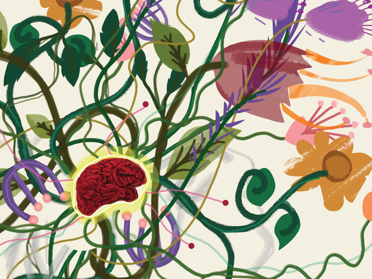 Notes on 'In Their Own Words,' a series on the youth mental health crisis