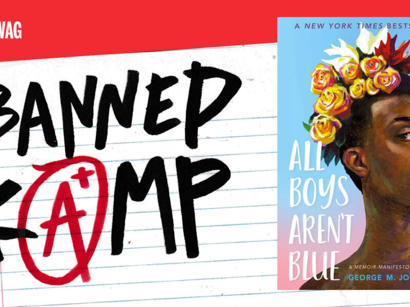 Banned Kamp: All Boys Aren't Blue, by George M. Johnson.