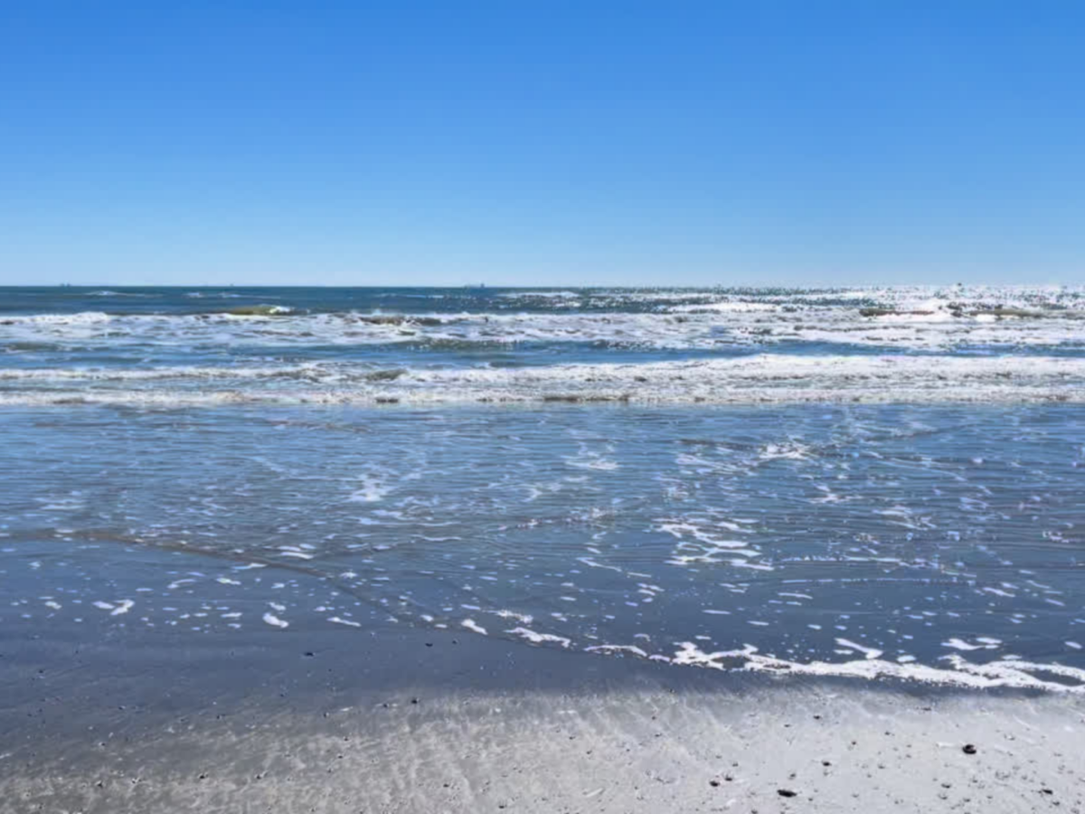 East End Preserve, Galveston TX