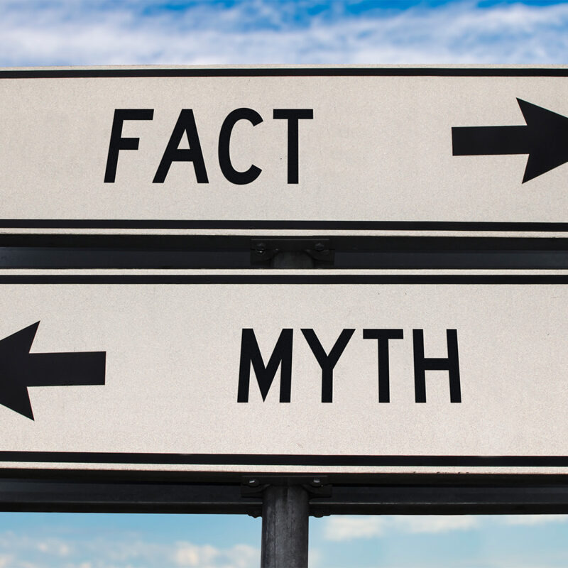 Election myths "The Left" tells (about) the South