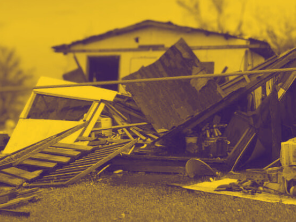 Climate Resilience: A Scalawag Reading List