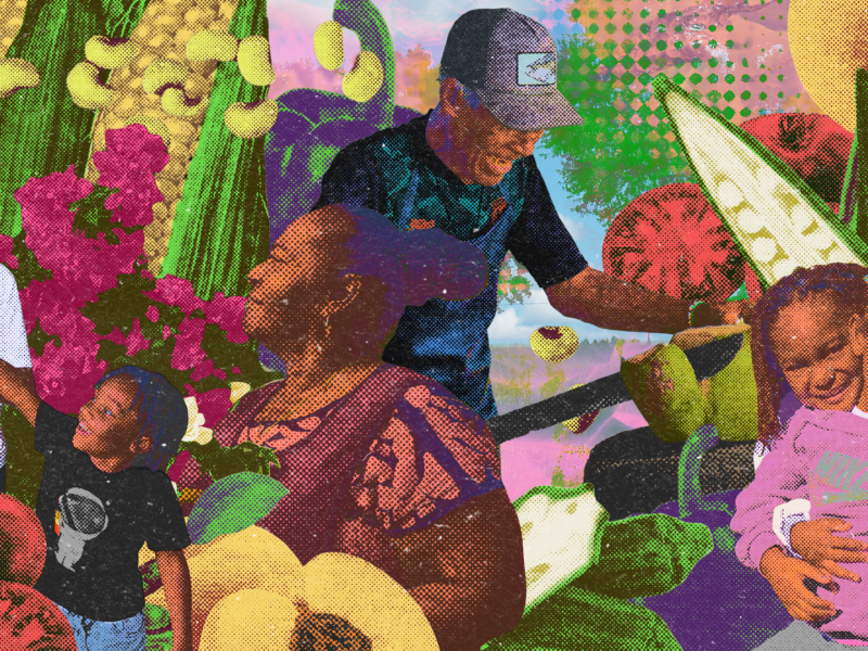 Illustrative header for Liberation Lineages, a photo series by Briana Blueitt